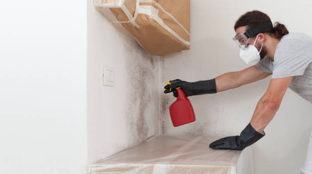 Professional Bathroom Mold Removal technician working in Lakeville, MN